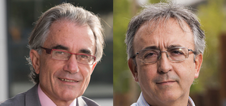 Hallan activadores de una posible diana terapéutica para el tratamiento de diabetes y resistencia a la insulina