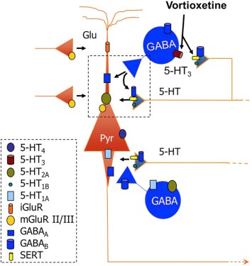 Maurizio Riga, premio extraordinario de doctorado por la Universidad de Barcelona