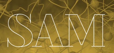 CIBERSAM publica una editorial conmemorativa con motivo de su décimo aniversario