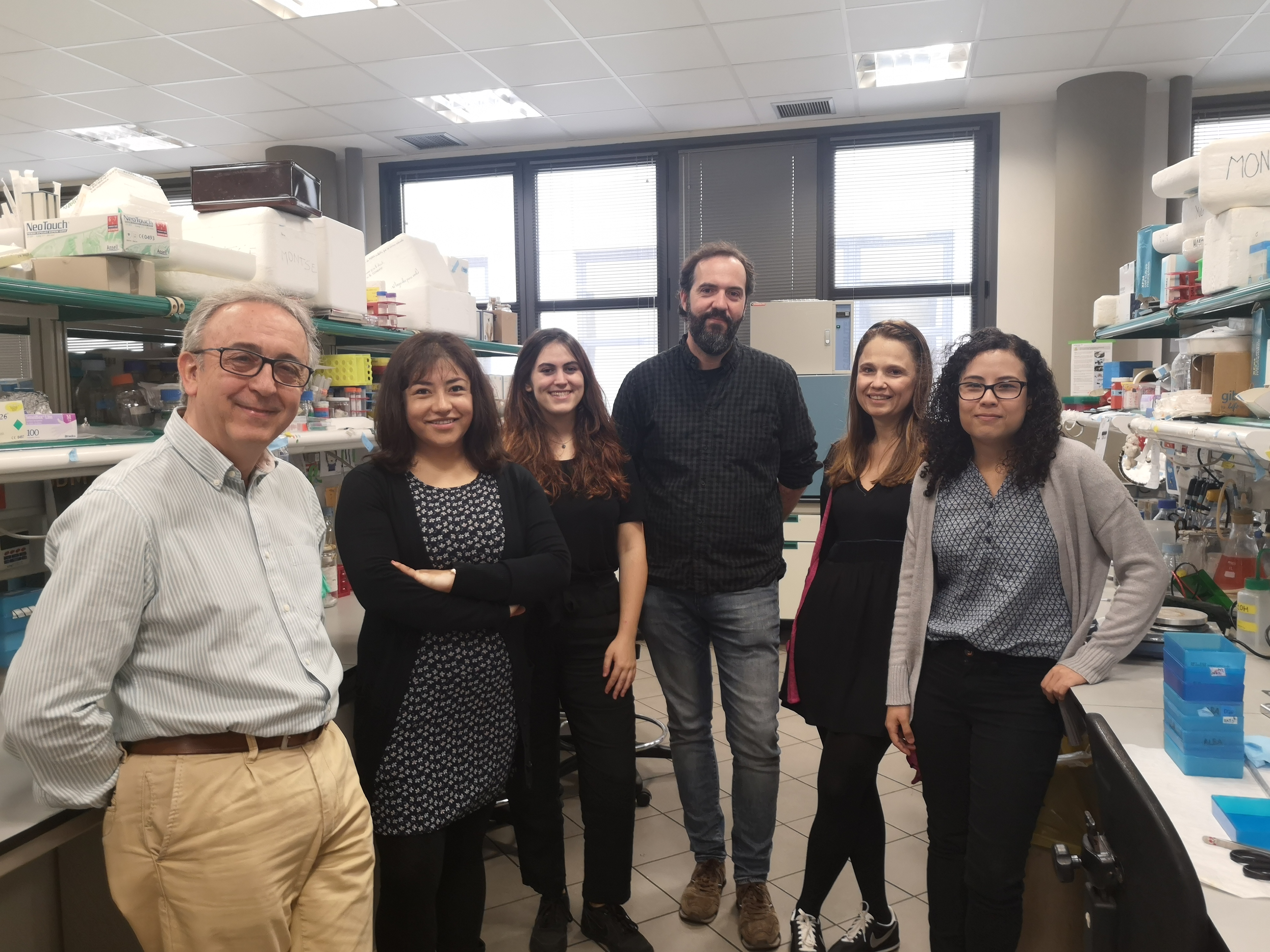 Identifican una proteína que protege contra el hígado graso no alcohólico