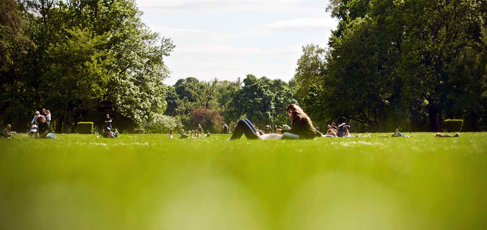 Las personas que viven cerca de espacios verdes tienen menos riesgo de síndrome metabólico