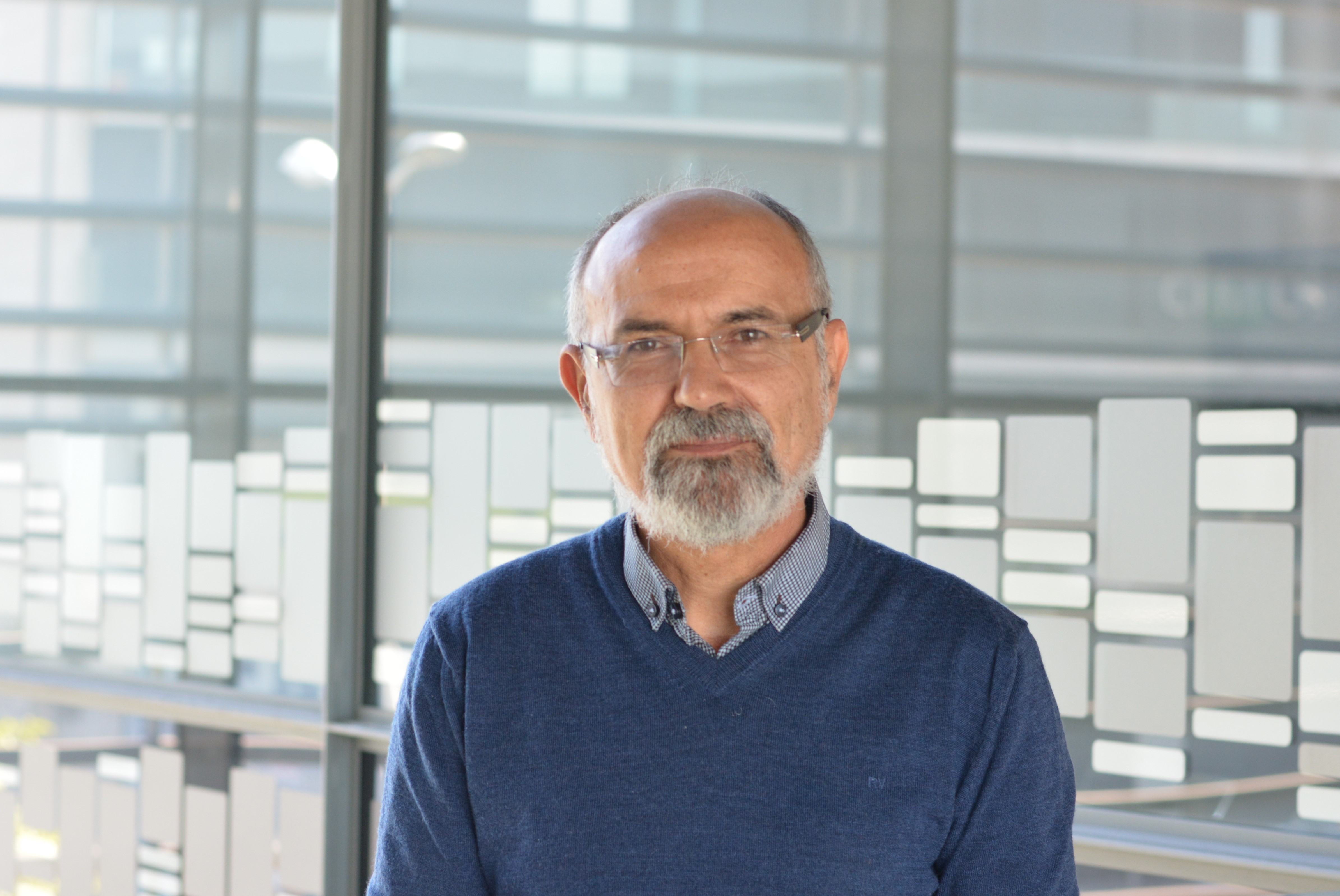 Día Mundial de la Obesidad 2019: el peso de la enfermedad