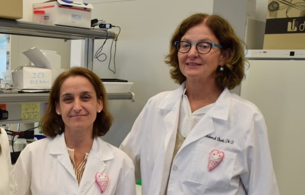 Describen el papel de la citoquina LIGHT (TNFSF14) en el hígado graso no alcohólico y la diabetes mellitus 2