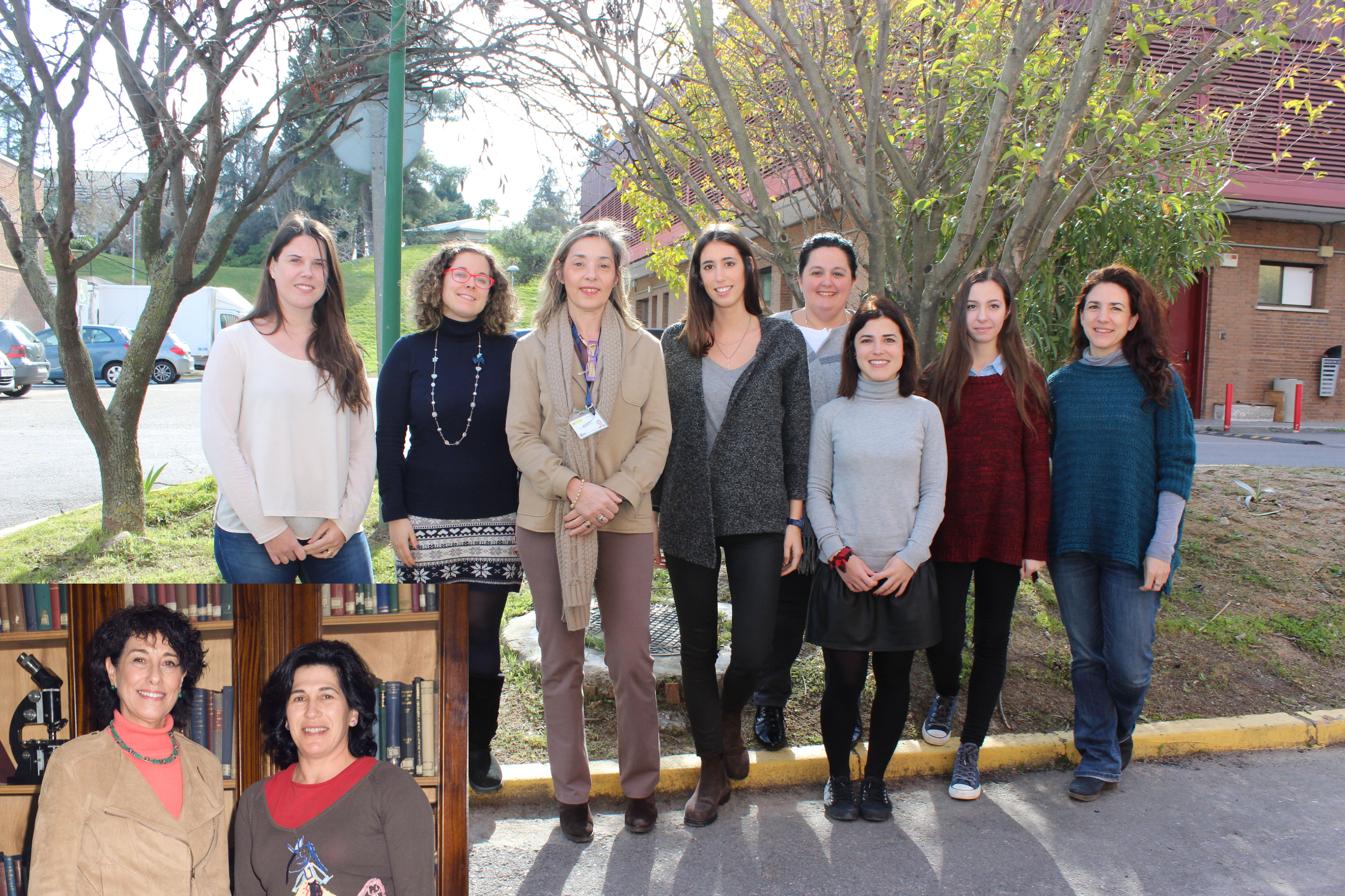 Estudian el papel protector de la proteína PTP1B en el intestino en ratones con NASH