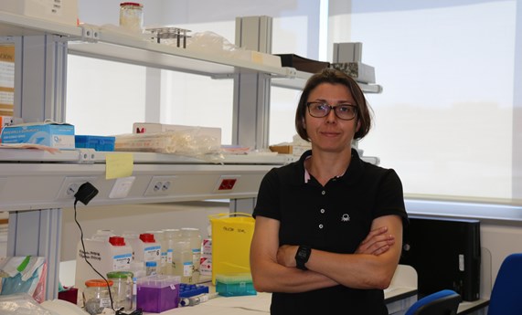 Mª Carmen Gómez-Cabrera participa en una investigación internacional para desarrollar un fármaco contra enfermedades autoinmunes