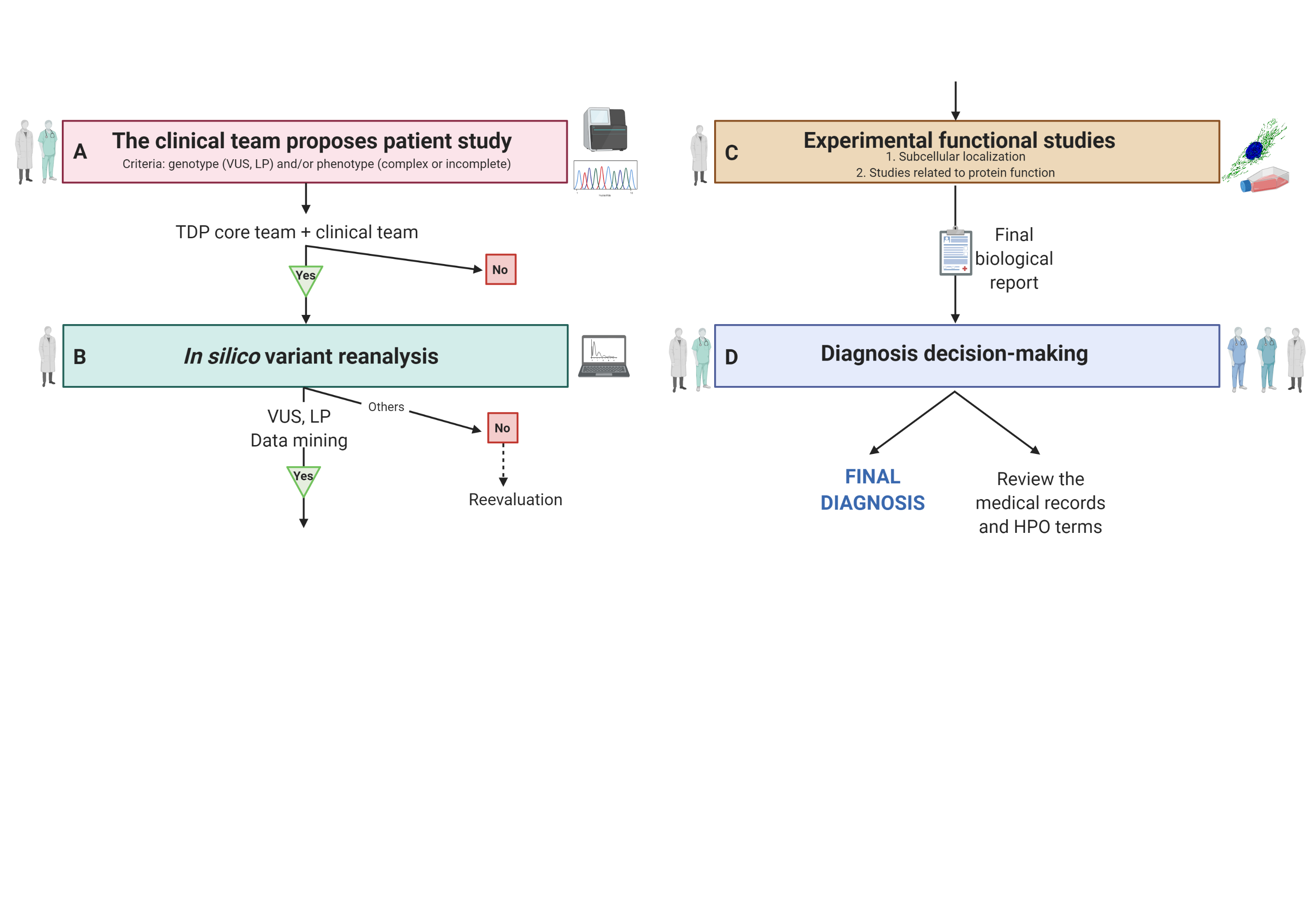 Diseñan una ruta intrahospitalaria para validar variantes genéticas de significado incierto en niños con enfermedades raras
