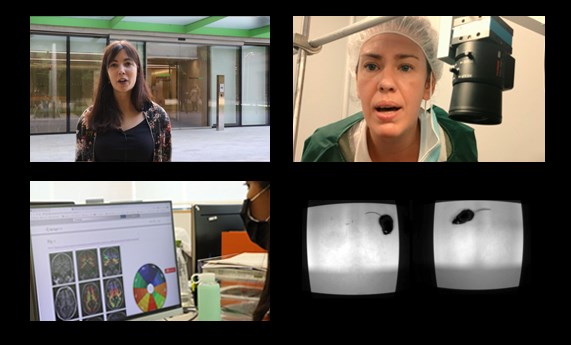 #QueSigaLaCiencia presenta dos vídeos del CIBERFES, de Marta Milà y Marina García