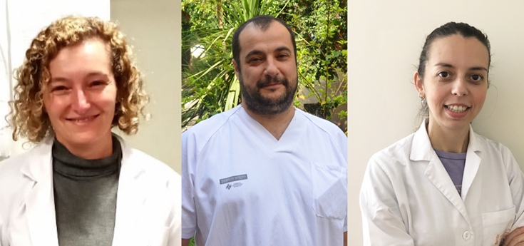 Una nueva terapia basada en el gen SREBF2 para tratar alteraciones lipídicas y diabetes