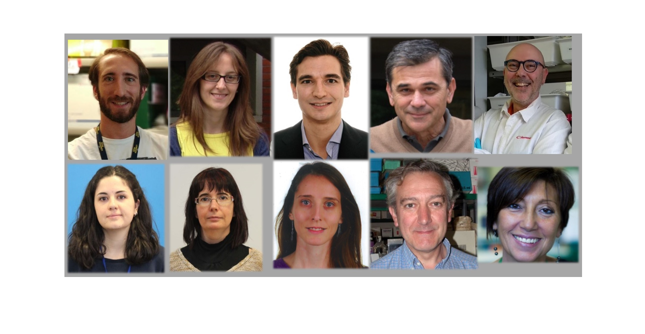 Un nuevo modelo celular de disqueratosis congénita ayudará a comprender la enfermedad y evaluar nuevas terapias