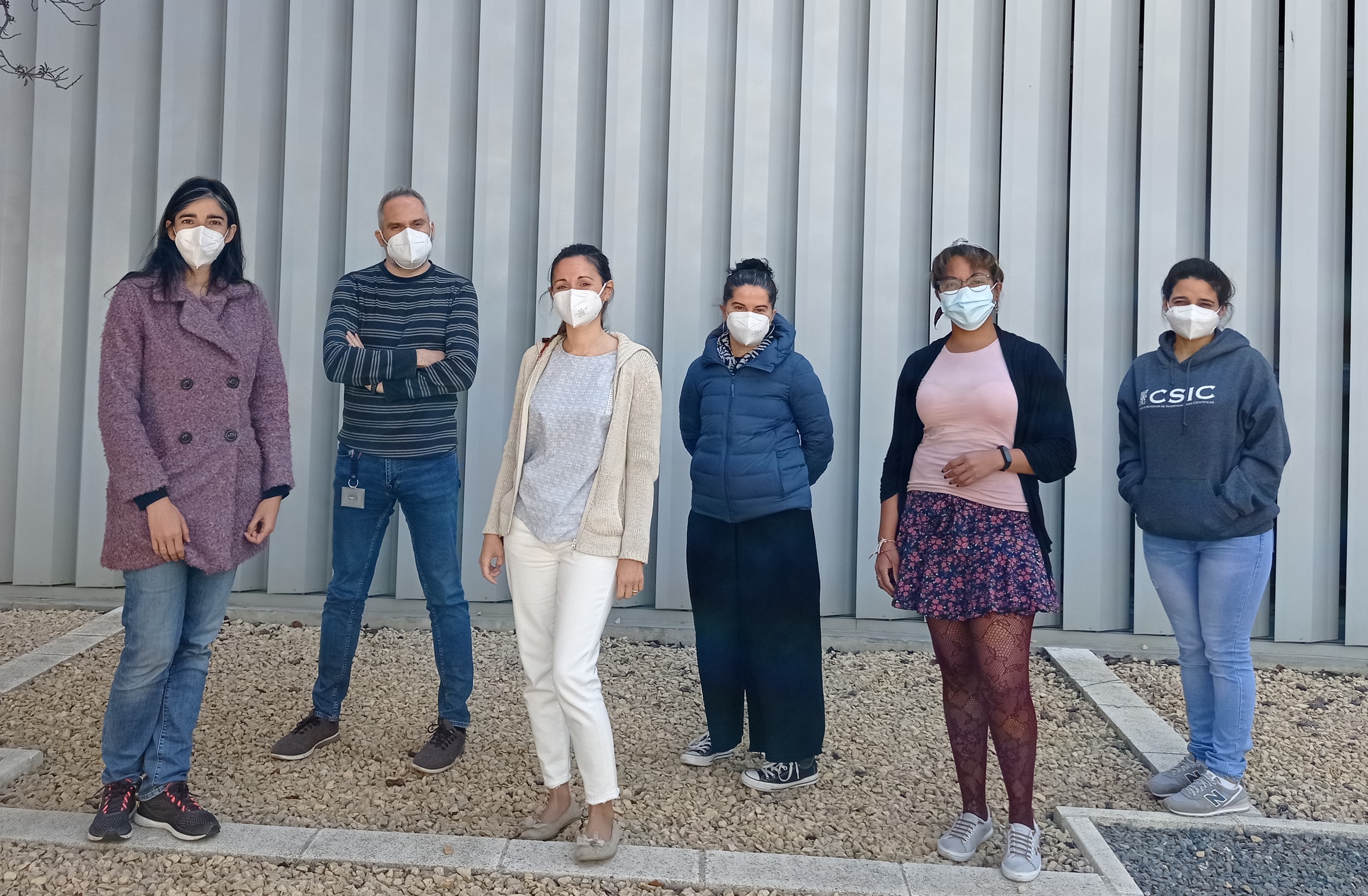 Un tratamiento experimental contra el cáncer de páncreas estimula las defensas y frena el crecimiento tumoral en ratones