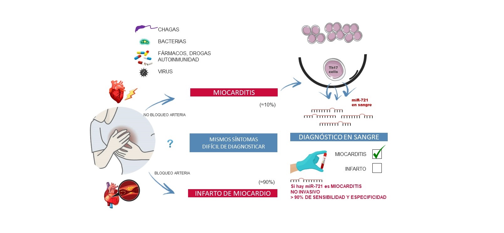 Identifican el primer biomarcador en sangre que distingue la miocarditis de un infarto agudo de miocardio