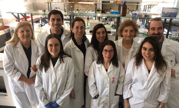 Nuevos avances para ponerle freno a la fibrosis cardiaca en pacientes obesos Nuevos avances para ponerle freno a la fibrosis cardiaca en pacientes obesos