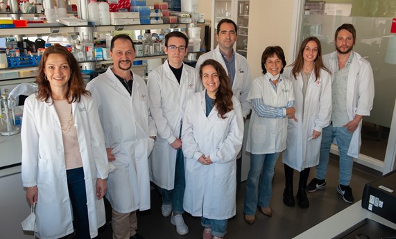 La inhibición de BACE2 empeora los efectos metabólicos de una dieta obesogénica en ratones La inhibición de BACE2 empeora los efectos metabólicos de una dieta obesogénica en ratones