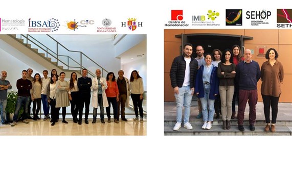 La secuenciación de alto rendimiento permite obtener el diagnóstico genético del 70% de los pacientes con trastornos plaquetarios congénitos La secuenciación de alto rendimiento permite obtener el diagnóstico genético del 70% de los pacientes con trastornos plaquetarios congénitos