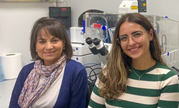 Desarrollan un modelo 3D del ecosistema tumoral mediante estrategias de bioimpresión Desarrollan un modelo 3D del ecosistema tumoral mediante estrategias de bioimpresión