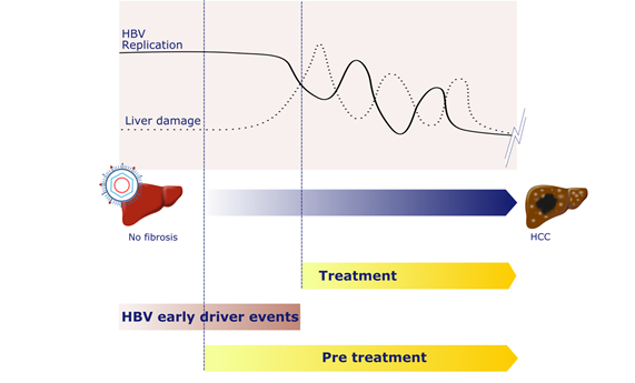 Desvelan datos genómicos que podrían ayudar a diagnosticar el cáncer hepático hasta dos décadas antes de que se manifieste Desvelan datos genómicos que podrían ayudar a diagnosticar el cáncer hepático hasta dos décadas antes de que se manifieste