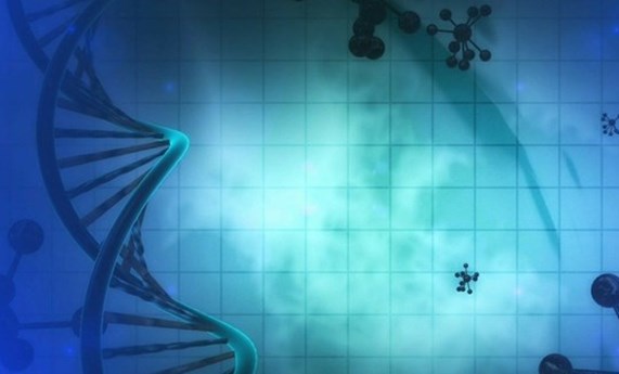 El CIBER obtiene financiación para cuatro proyectos sobre medicina de precisión y práctica clínica El CIBER obtiene financiación para cuatro proyectos sobre medicina de precisión y práctica clínica