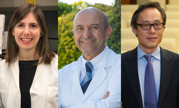 Los beneficios del aceite de oliva a largo plazo, avalados por primera vez en una investigación estadounidense Los beneficios del aceite de oliva a largo plazo, avalados por primera vez en una investigación estadounidense