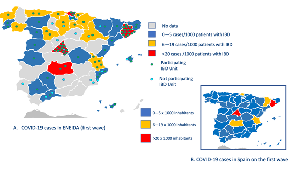 Un estudio analiza la relación entre la COVID-19 y la enfermedad inflamatoria intestinal en España Un estudio analiza la relación entre la COVID-19 y la enfermedad inflamatoria intestinal en España