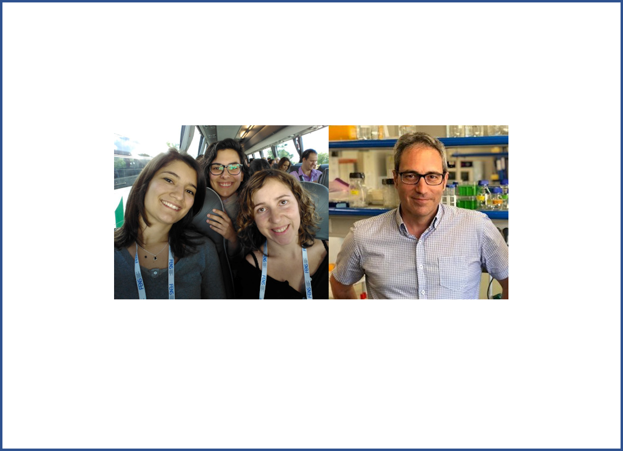 Identifican genes responsables de enfermedades raras con hiperactividad e inatención que contribuyen al TDAH