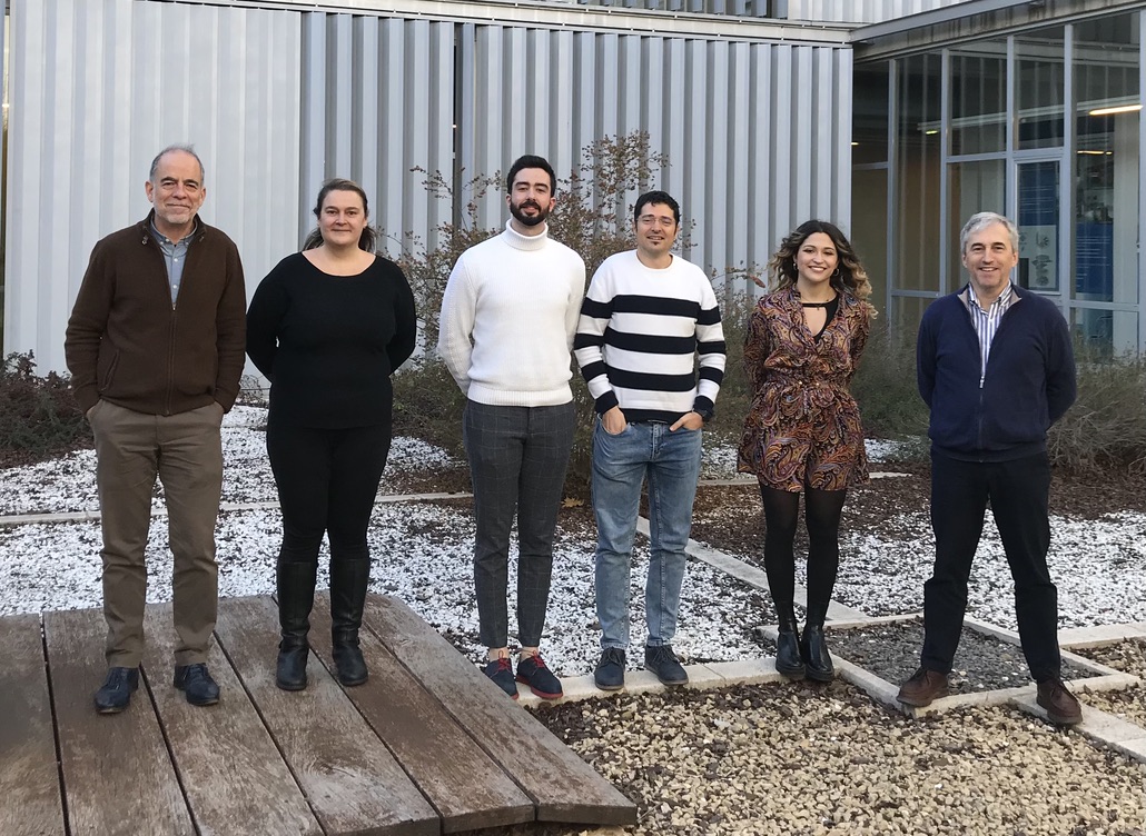 Desarrollan lanzaderas inteligentes para destruir células tumorales desde su interior mediante calor y sin fármacos