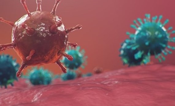 La irrupción de la COVID-19 ha aumentado un 68,5% las muertes del aparato respiratorio en 2020 La irrupción de la COVID-19 ha aumentado un 68,5% las muertes del aparato respiratorio en 2020