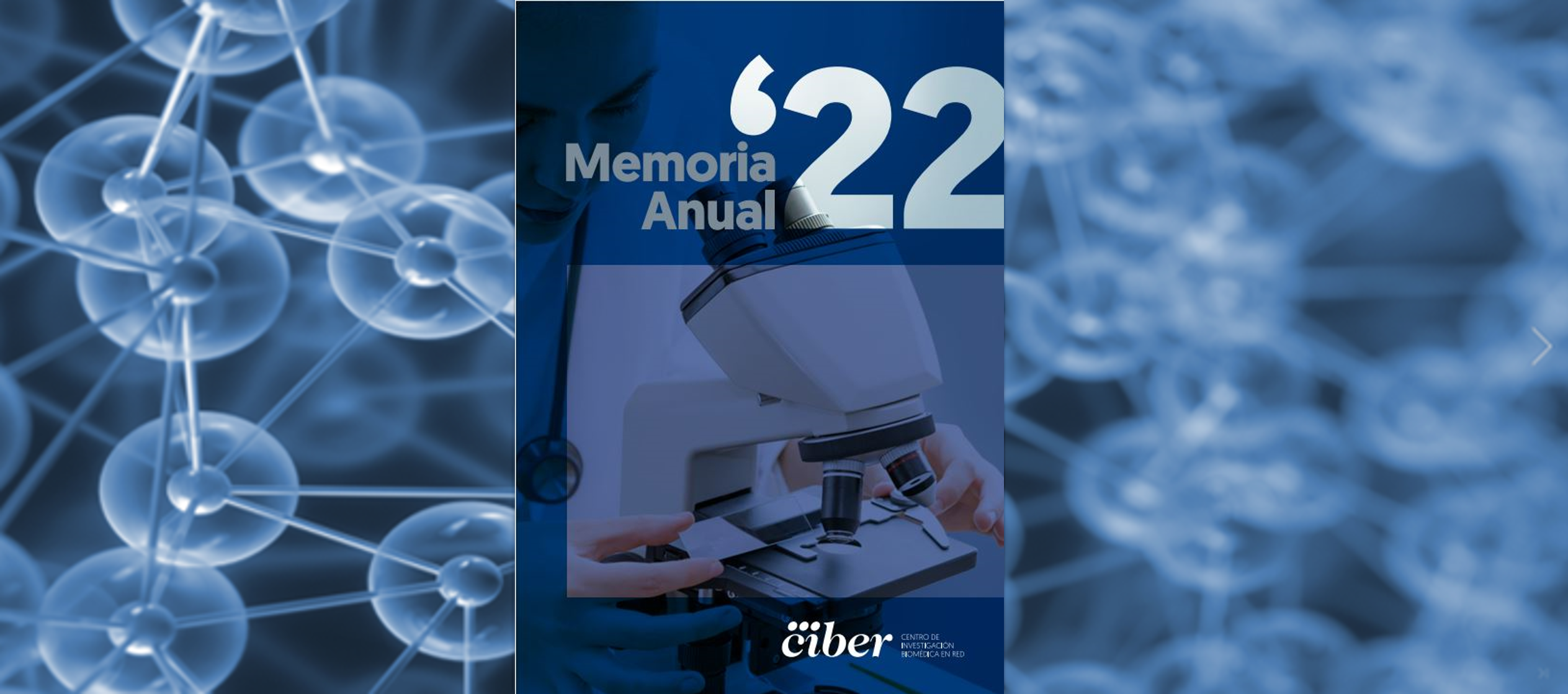 Disponible Memoria CIBER 2022