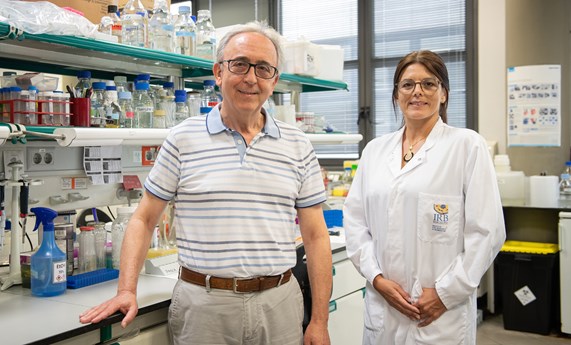 Variantes de una misma proteína interaccionan para garantizar funciones celulares vitales: la Mitofusina 2 es la clave Variantes de una misma proteína interaccionan para garantizar funciones celulares vitales: la Mitofusina 2 es la clave