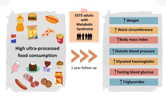 El consumo de alimentos ultraprocesados empeora los factores de riesgo cardiometabólicos