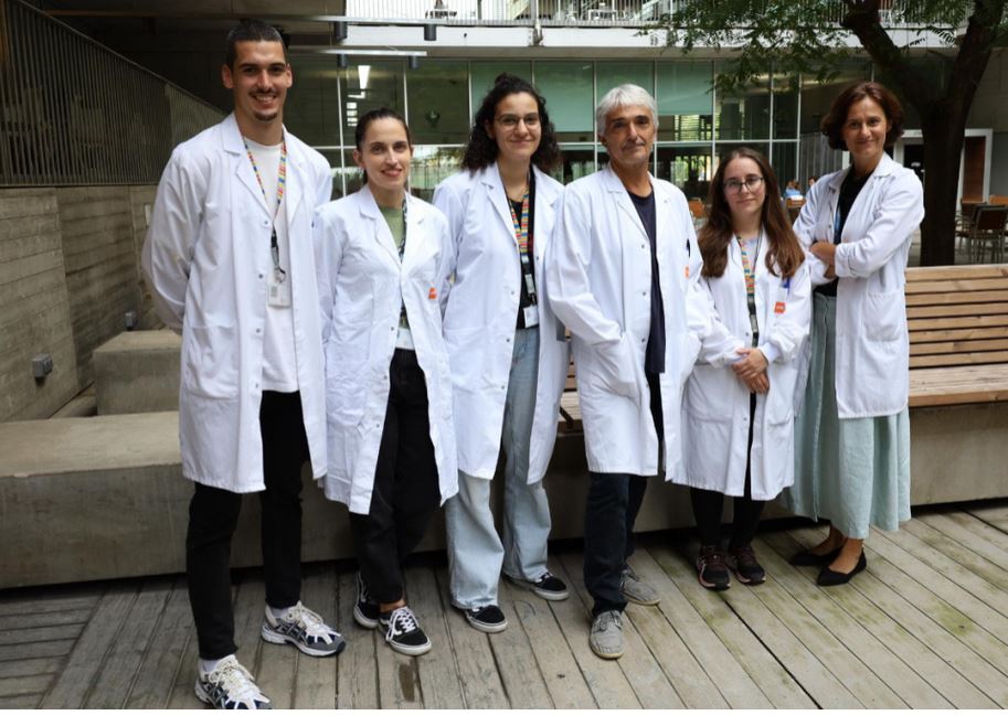 Apuntan a una nueva combinación de tratamientos para combatir el cáncer