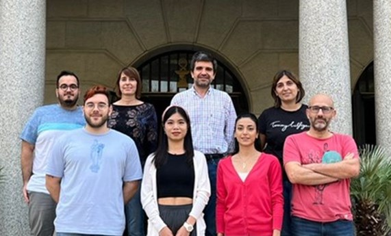 Identifican un nuevo mecanismo que podría mejorar la eficiencia de los tratamientos contra la diabetes Identifican un nuevo mecanismo que podría mejorar la eficiencia de los tratamientos contra la diabetes