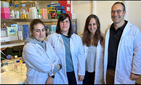 Desvelan los mecanismos moleculares de unas células inmunitarias que protegen de infecciones intestinales Desvelan los mecanismos moleculares de unas células inmunitarias que protegen de infecciones intestinales