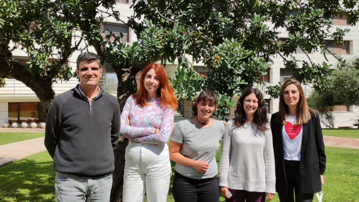 Estudian cómo el estrés durante la adolescencia incide en el tálamo, región cerebral afectada en enfermedades psiquiátricas como la depresión o la esquizofrenia