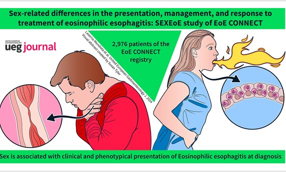 El estudio SexEoE del registro EoE CONNECT establece diferencias de sexo en la esofagitis eosinofílica El estudio SexEoE del registro EoE CONNECT establece diferencias de sexo en la esofagitis eosinofílica