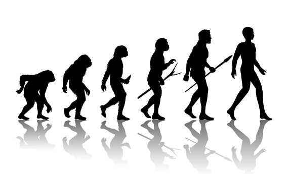 Variantes del gen LRP5 explican por qué los sapiens modernos tienen huesos más frágiles que nuestros antepasados Variantes del gen LRP5 explican por qué los sapiens modernos tienen huesos más frágiles que nuestros antepasados