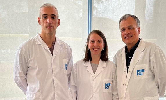 Relacionan un virus presente en el intestino con la adicción a la comida mediante la alteración de dos neurotransmisores Relacionan un virus presente en el intestino con la adicción a la comida mediante la alteración de dos neurotransmisores