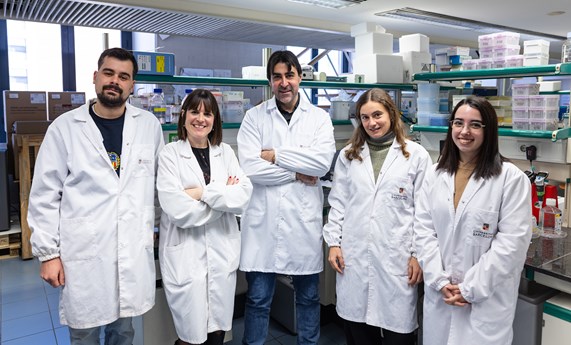 Describen un mecanismo para poder eliminar las células perjudiciales que originan los tratamientos oncológicos Describen un mecanismo para poder eliminar las células perjudiciales que originan los tratamientos oncológicos