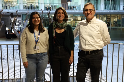 Demuestran la relación entre antidepresivos e incremento de peso