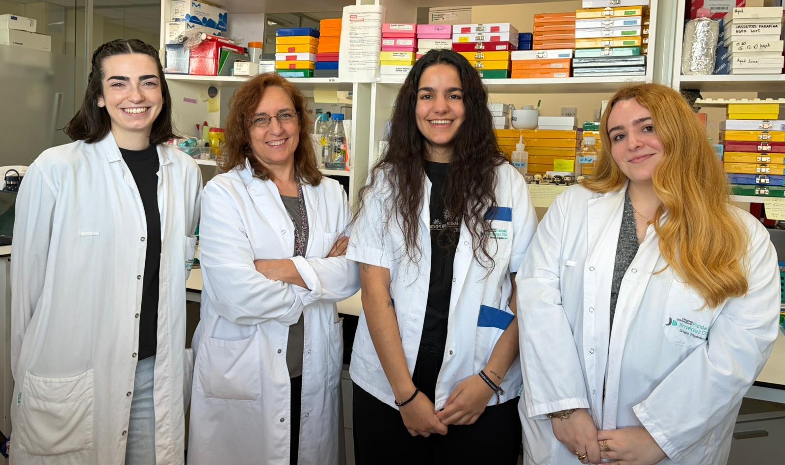 Hallan un nuevo eje molecular que regula la inflamación vascular en la diabetes