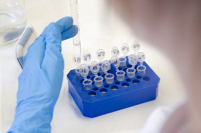 Programas de Investigación