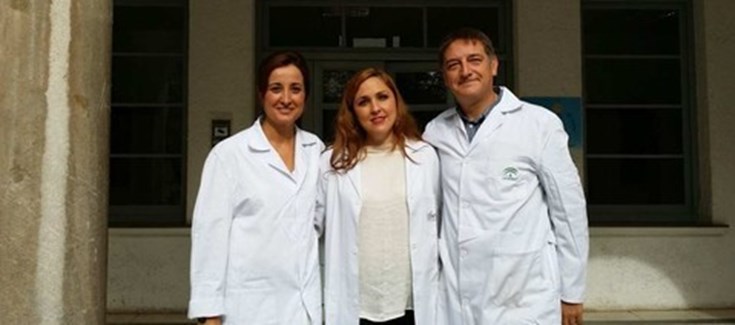 El G06 del CIBERSAM lidera un proyecto europeo sobre patologías físicas en pacientes con trastornos mentales