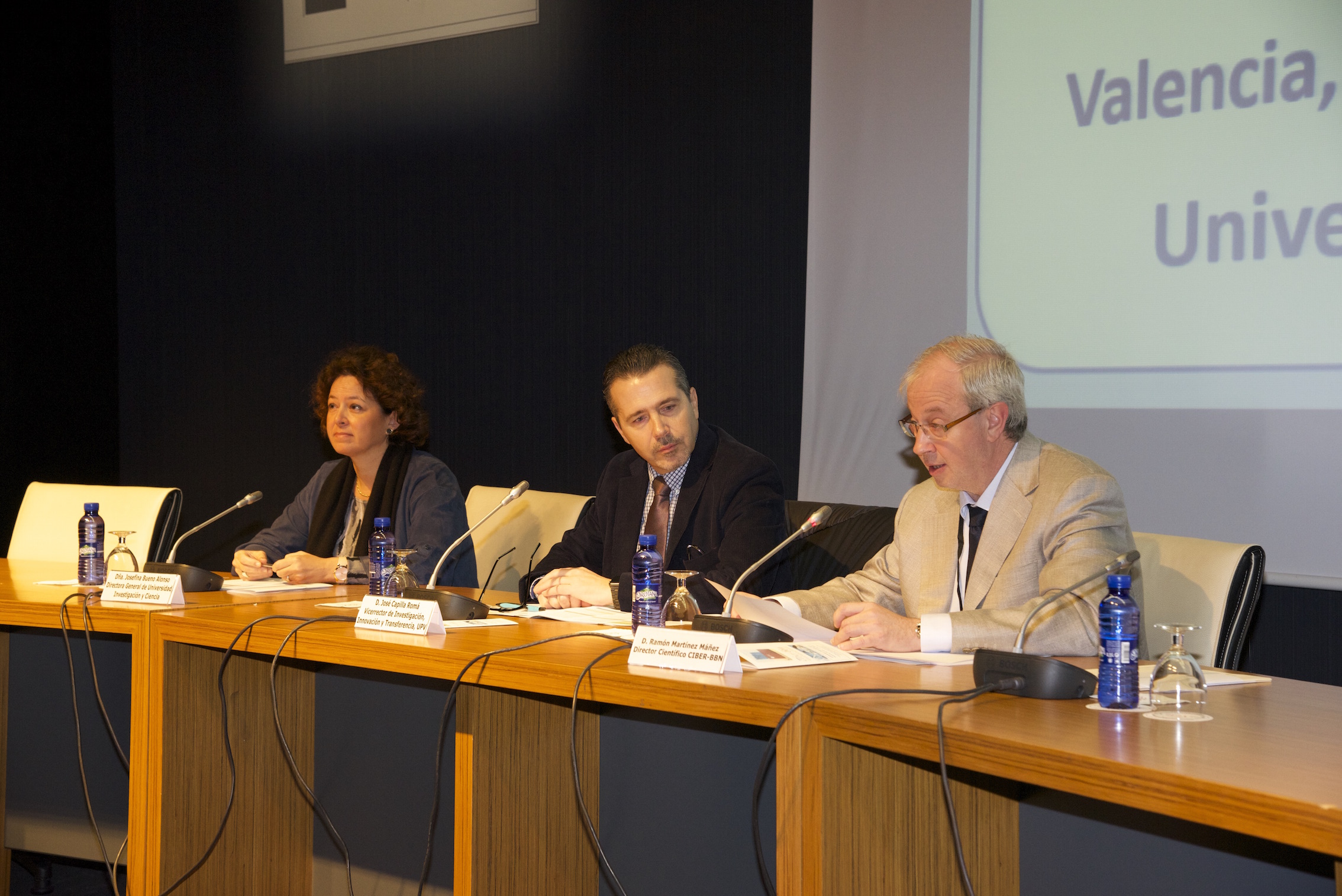 Consiguen regenerar tejido nervioso en animales con implantes biodegradables tras lesiones cerebrales