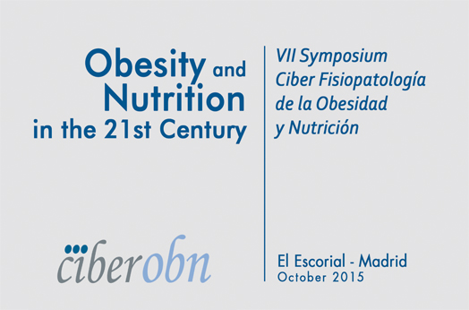 El CIBEROBN profundiza en los retos científicos para combatir la obesidad