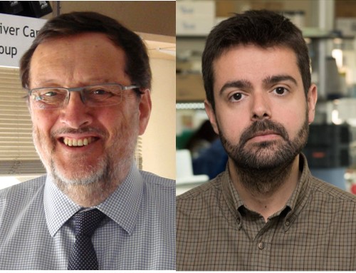 Bruix y Gracia-Sancho, premiados en el congreso de la EASL por su investigación en enfermedades hepáticas
