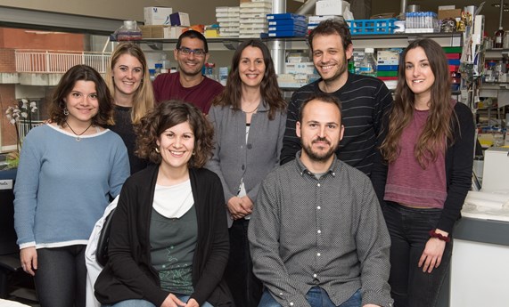 Descubren un nuevo mecanismo responsable de la formación de vasos anómalos en la cirrosis Descubren un nuevo mecanismo responsable de la formación de vasos anómalos en la cirrosis