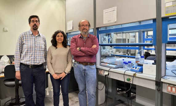 Diseñan un nuevo implante para la regeneración del cartílago articular Diseñan un nuevo implante para la regeneración del cartílago articular