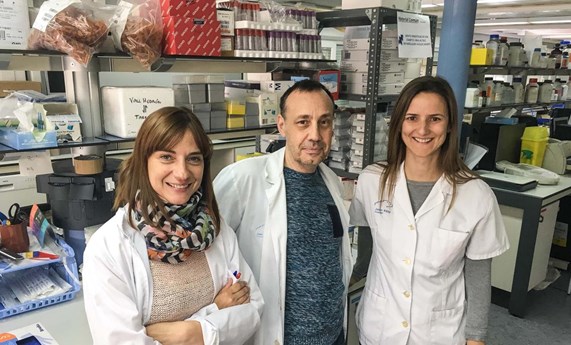 Con la obesidad se produce un acúmulo de glucógeno en los adipocitos que propicia el desarrollo de diabetes Con la obesidad se produce un acúmulo de glucógeno en los adipocitos que propicia el desarrollo de diabetes