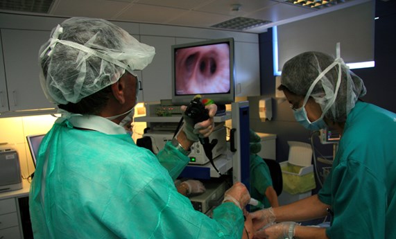 Éxito del trasplante de células alveolares para tratar la fibrosis pulmonar idiopática Éxito del trasplante de células alveolares para tratar la fibrosis pulmonar idiopática