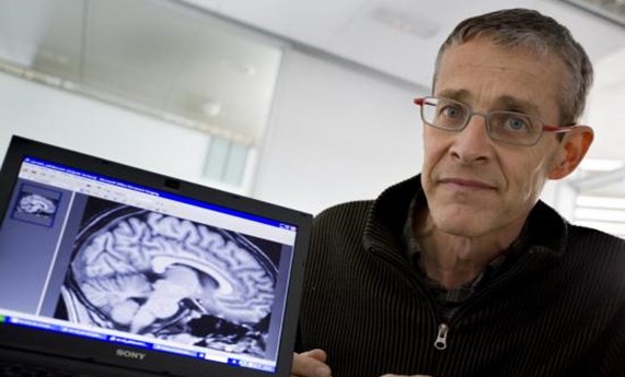 En la epidemia de obesidad infantil en España, además de la dieta y el sedentarismo, puede estar jugando un papel la exposición a disruptores hormonales En la epidemia de obesidad infantil en España, además de la dieta y el sedentarismo, puede estar jugando un papel la exposición a disruptores hormonales