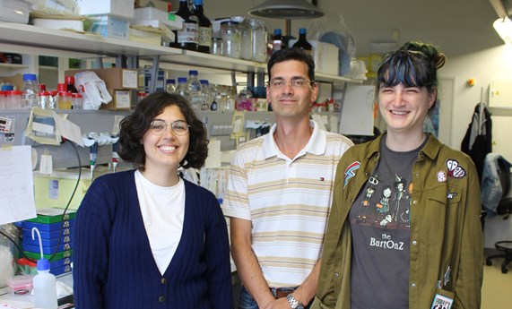 Descubren un mecanismo cerebral que abre la puerta a curar la enfermedad del hígado graso Descubren un mecanismo cerebral que abre la puerta a curar la enfermedad del hígado graso